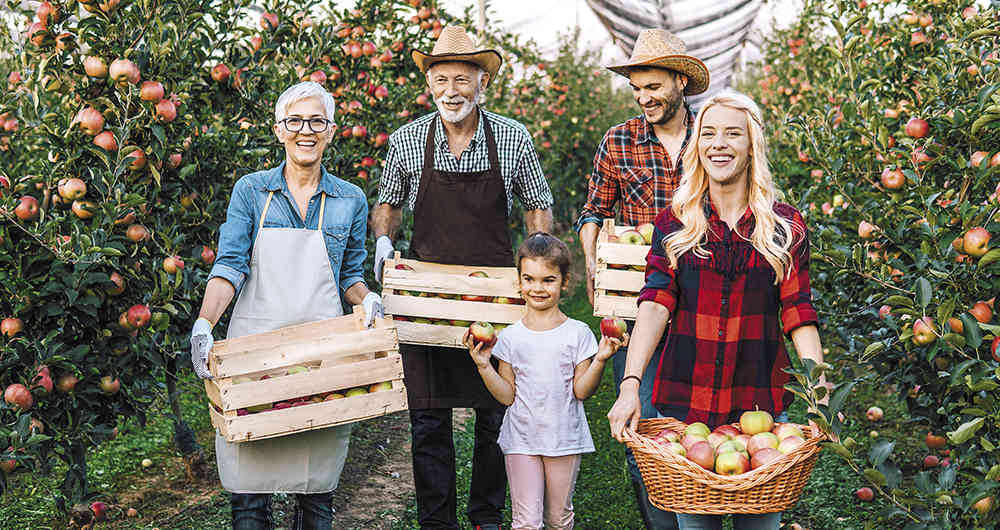 Herencia emprendedora