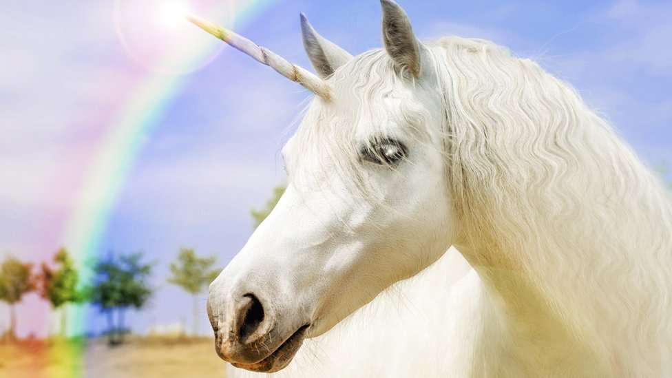 De startups a corporaciones: La hoja de ruta de los unicornios para nuevos fundadores